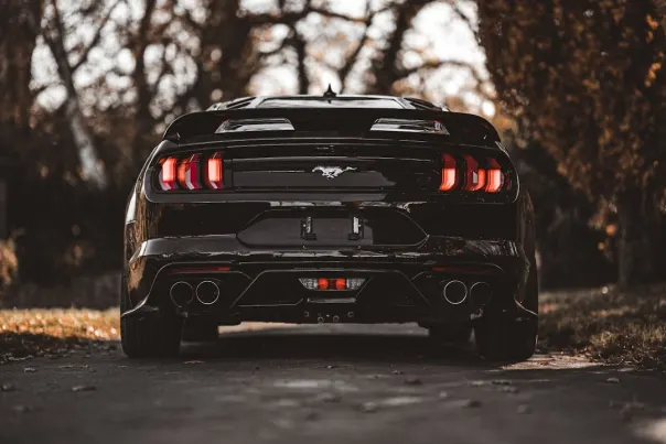 Kasino Posh Bingo Android/iOS Sovellus